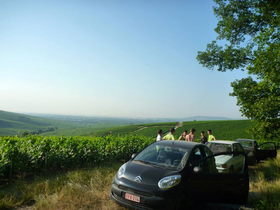 Sint-Martinus den XIIde - Kamp Curfoz JIN 2013